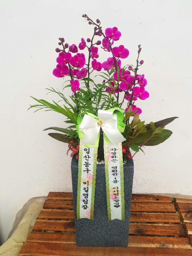 로또플라워 이미지