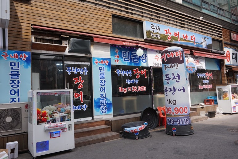 장어나다 이미지