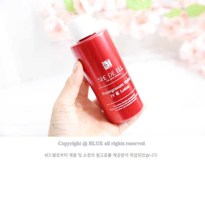홍스킨 이미지