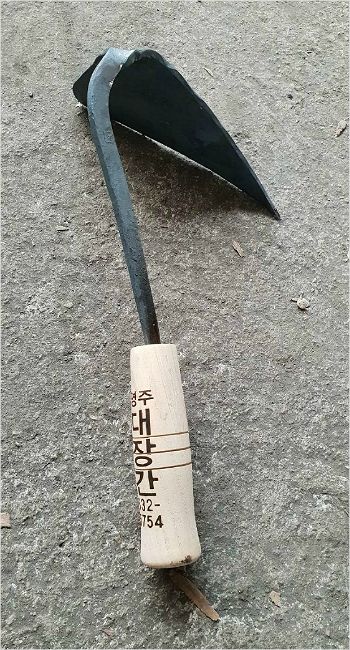 호미의꿈 이미지