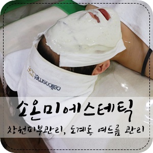 소온미 이미지