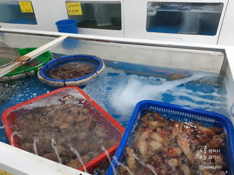 통영수산횟집 이미지