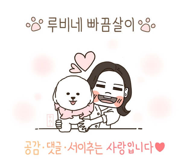 신가풋살 이미지