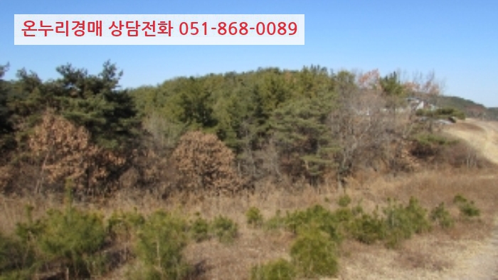 초곡리1 이미지