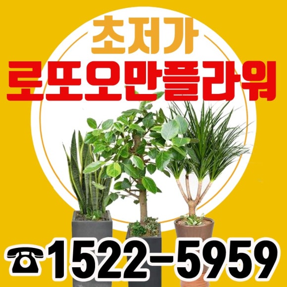 로또플라워 이미지
