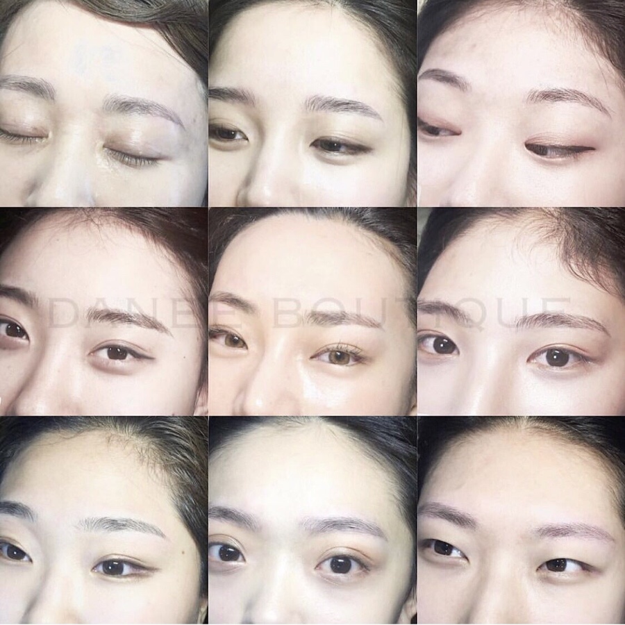 다니부띠끄 이미지