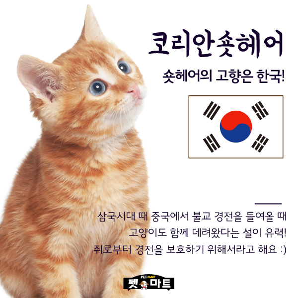 헤어마트 이미지