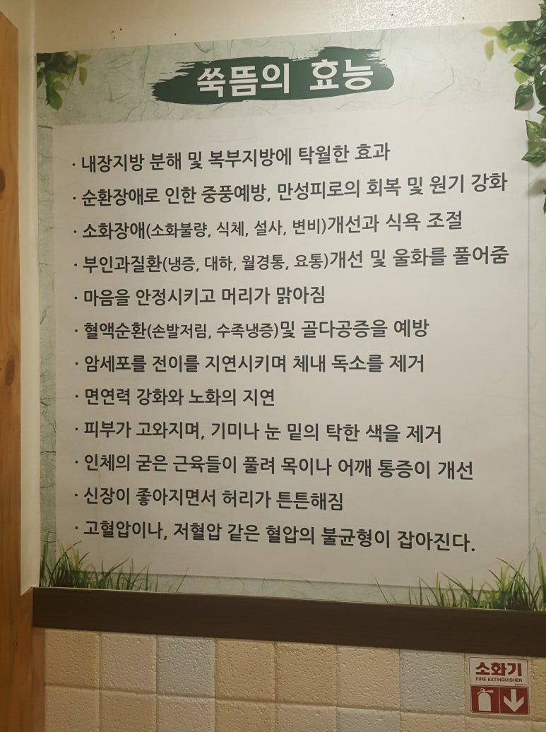 왕쑥뜸테라피 이미지