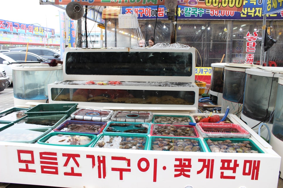 보경이네 이미지