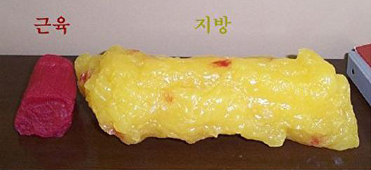 수지줌바피트니스&요가 이미지