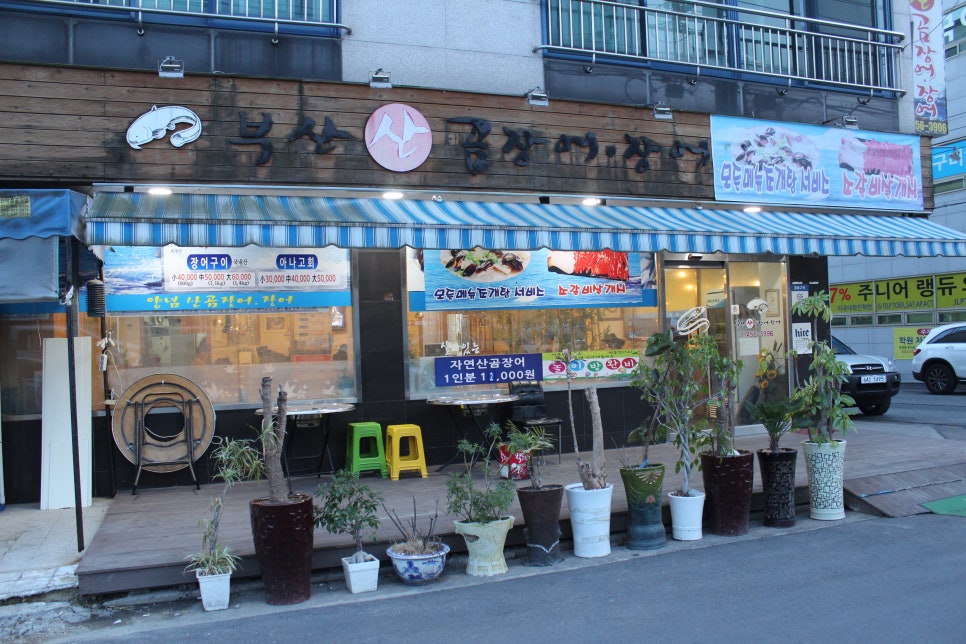 경북산곰장어 이미지