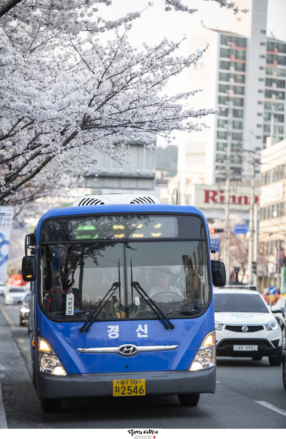 천리슈퍼 이미지