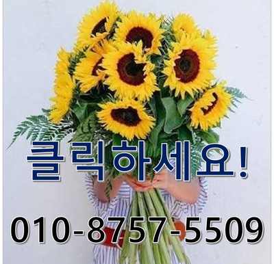 하나씨엔티 이미지