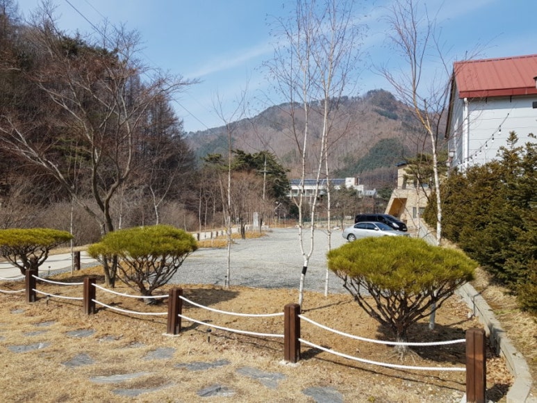 제니앤콩티 이미지