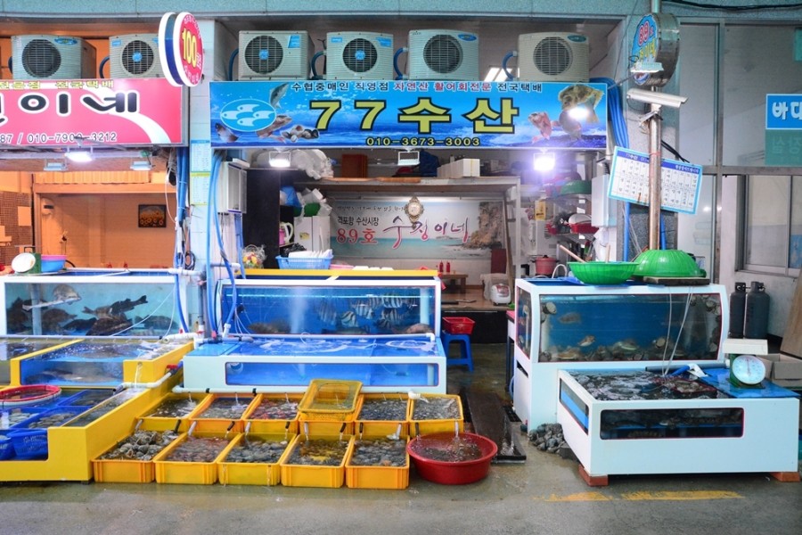 우리수산회센타 이미지