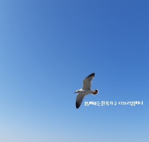 더브러컴퍼니 이미지