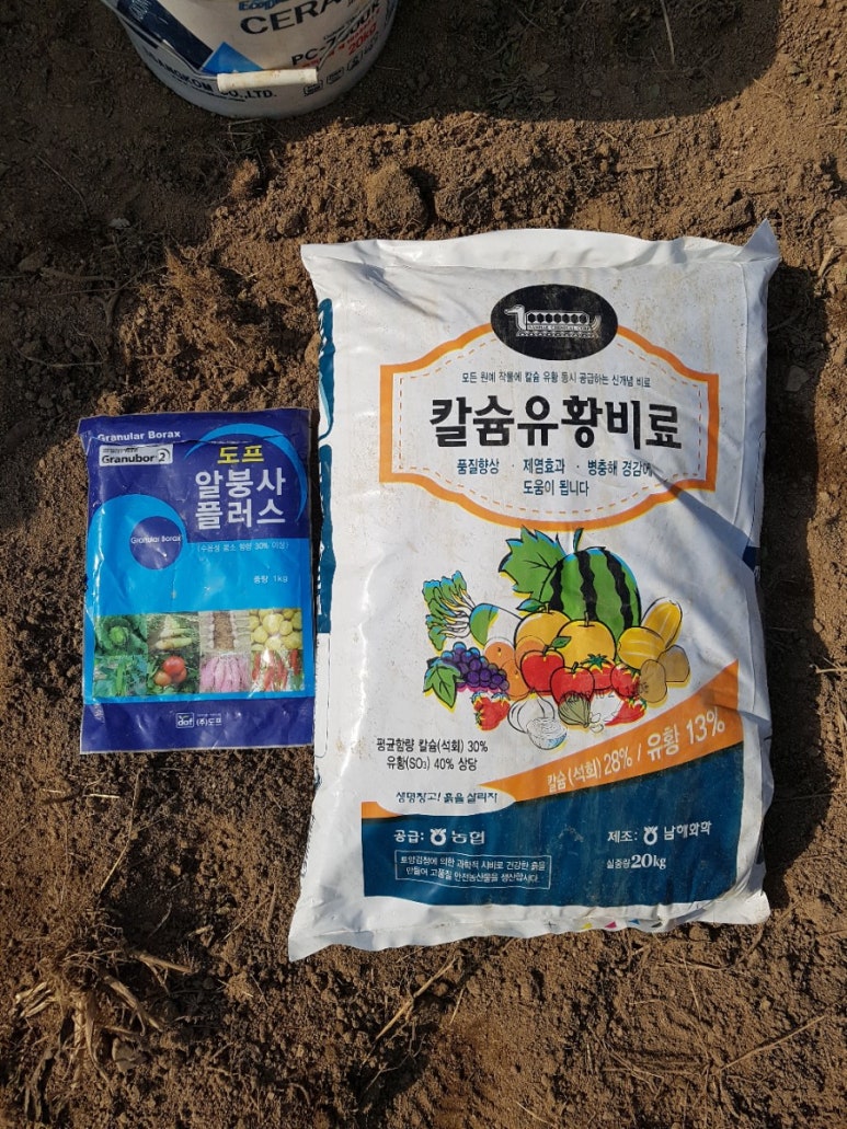 용성땅콩 이미지