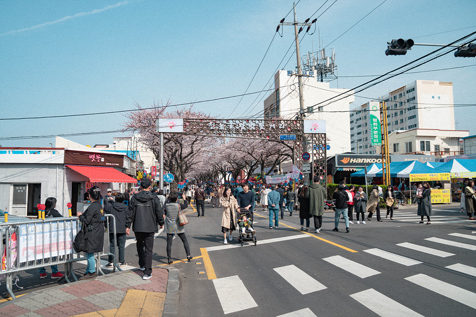 전농로의오후 이미지