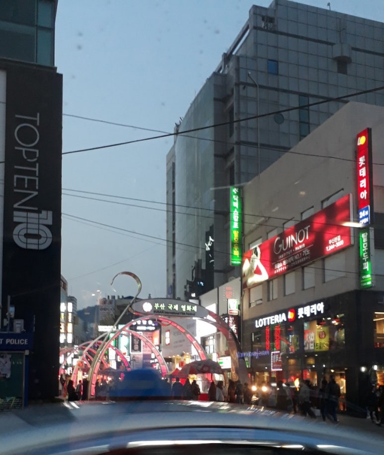 세포상회 이미지