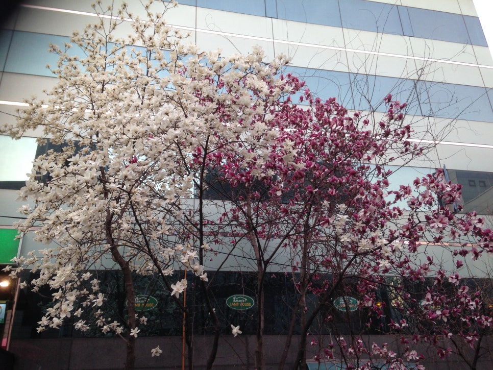마중행정사사무소 이미지