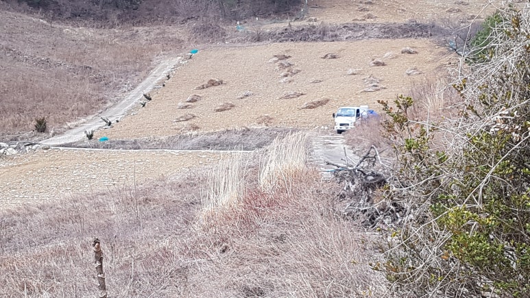 삼척농협주유소 이미지