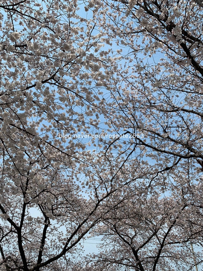동촌모바일 이미지
