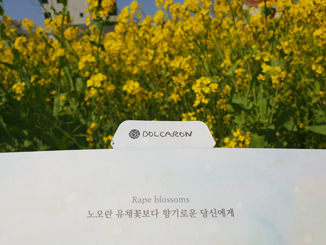 제주올레국수 이미지