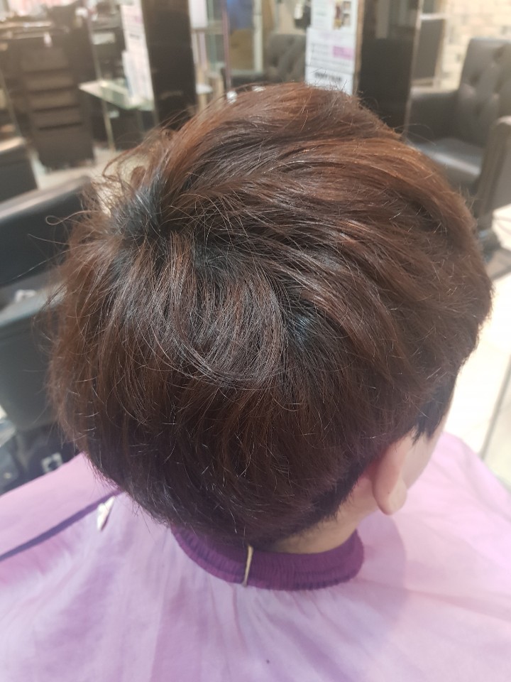 제니헤어 이미지