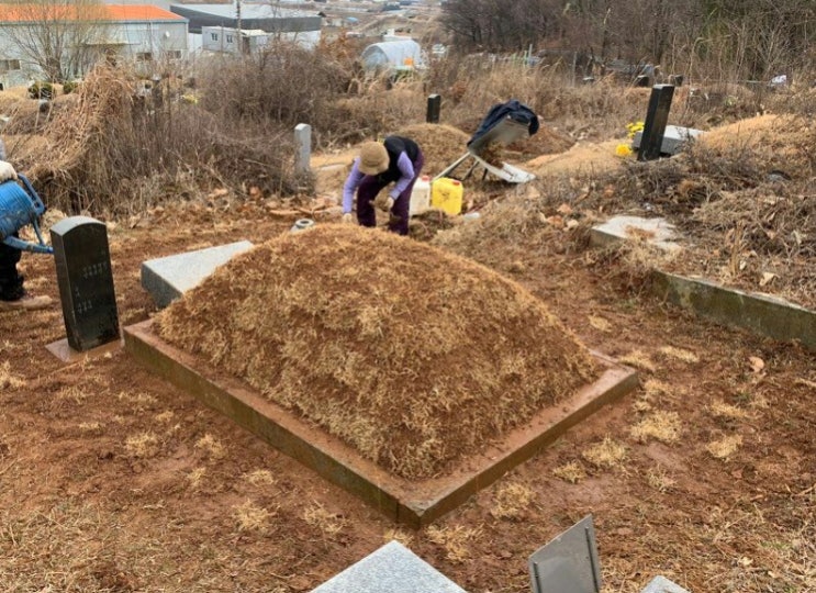 금잔디화원 이미지