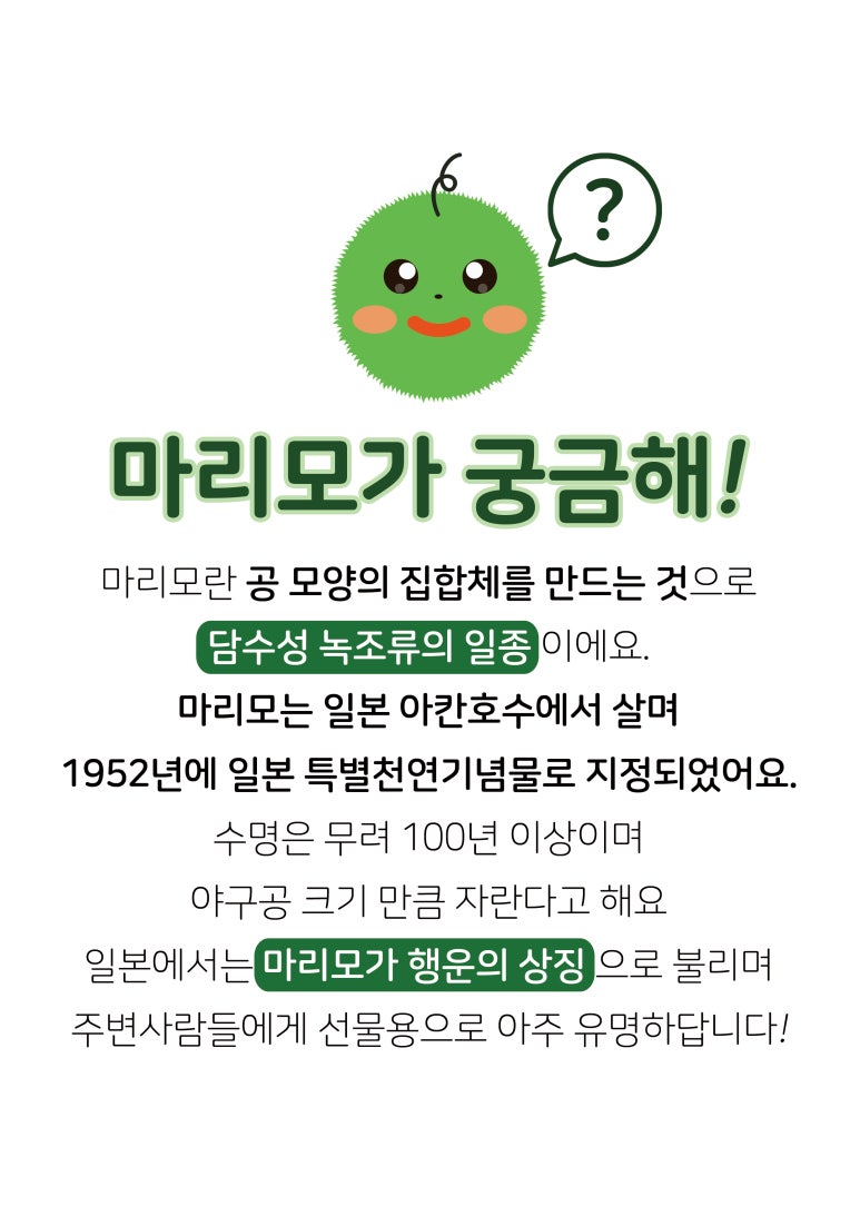 카페마리모 이미지