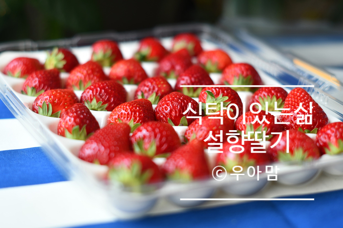 투베리농원 이미지