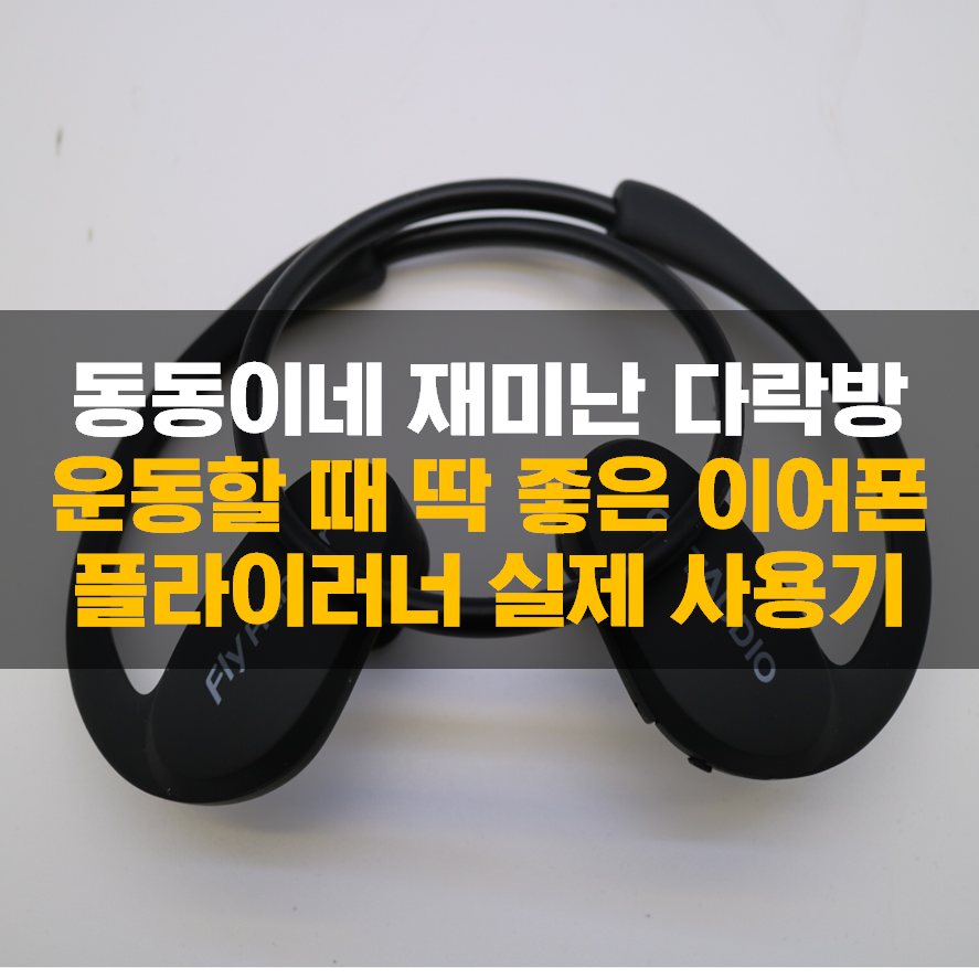 동동이네스포츠 이미지