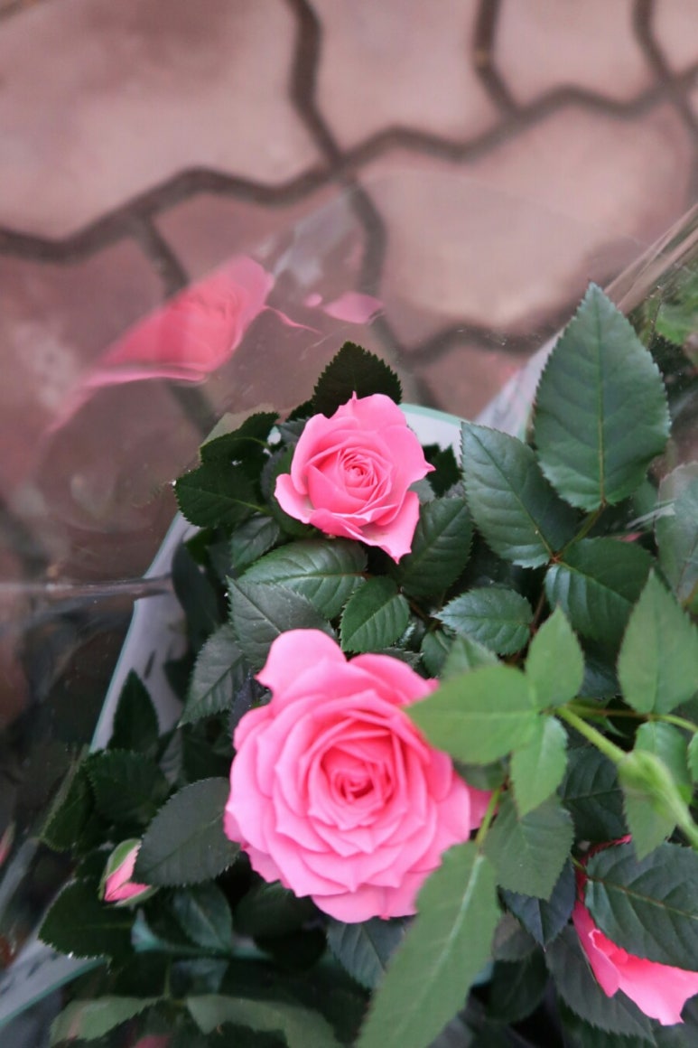 청운로지스 이미지