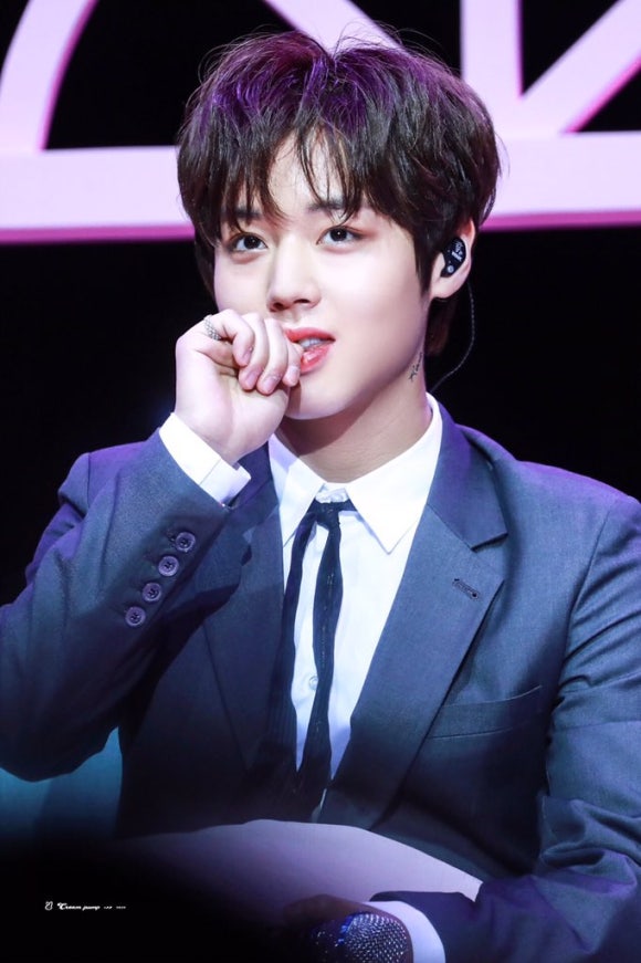 마카오박 이미지