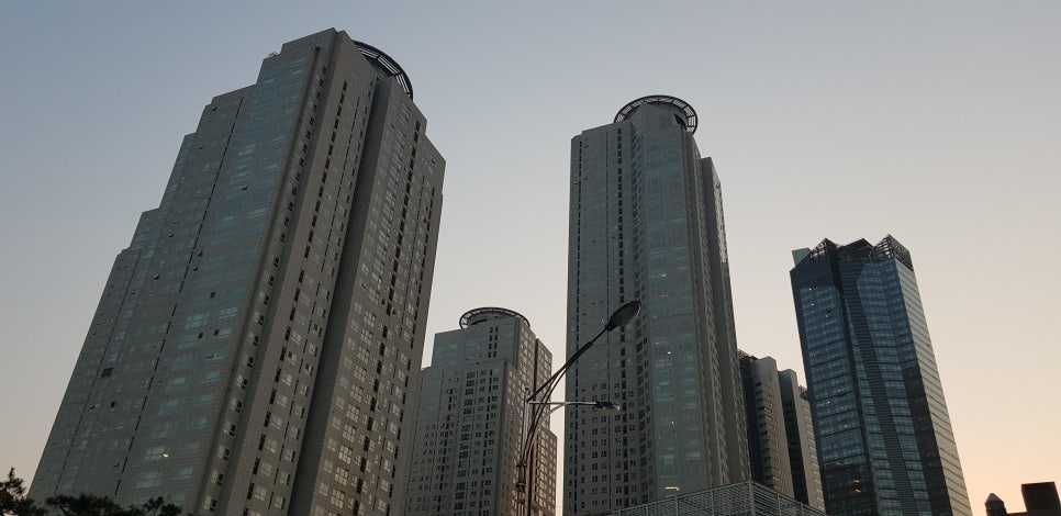 소나무스터디카페 이미지