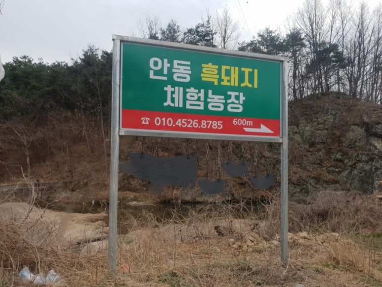 안동흙돼지농장 이미지