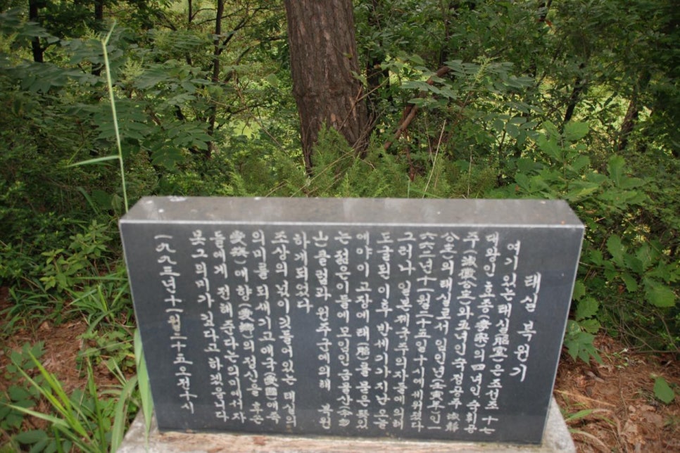숙정씨 이미지