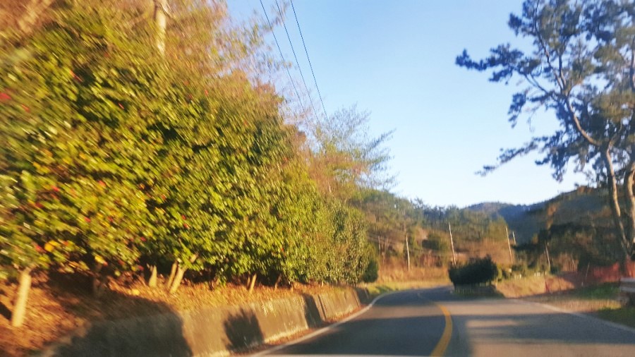 몽또방베이커리 이미지