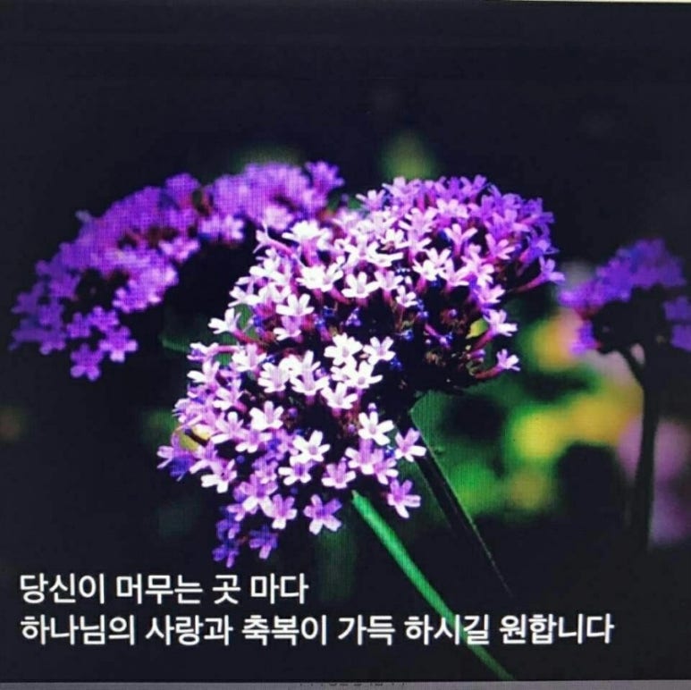 예랑교육 이미지