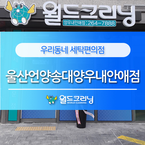 월드크리닝언양 이미지
