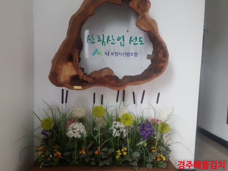 박외과 이미지