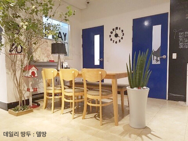 비바음악학원 이미지