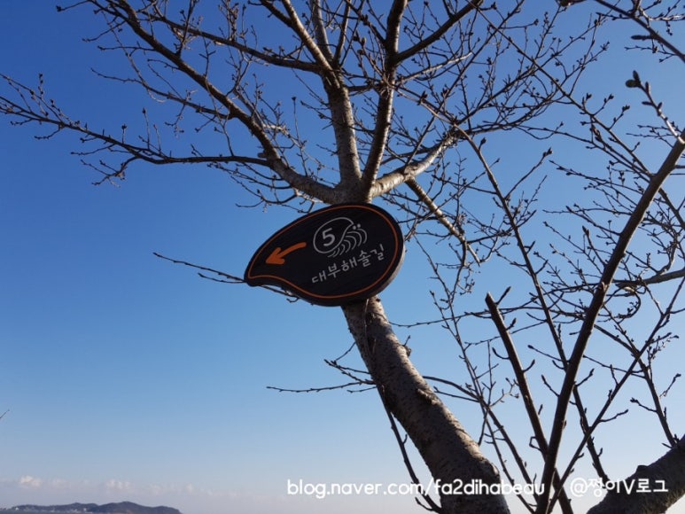 아라아띠 이미지