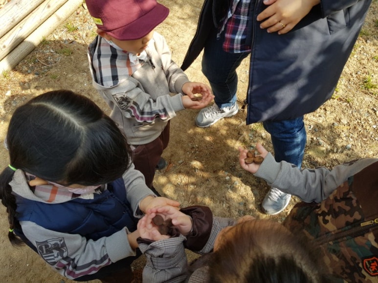 달팽이숲 이미지