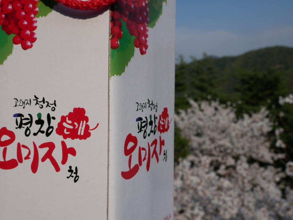 평창오미자영농조합법인 이미지