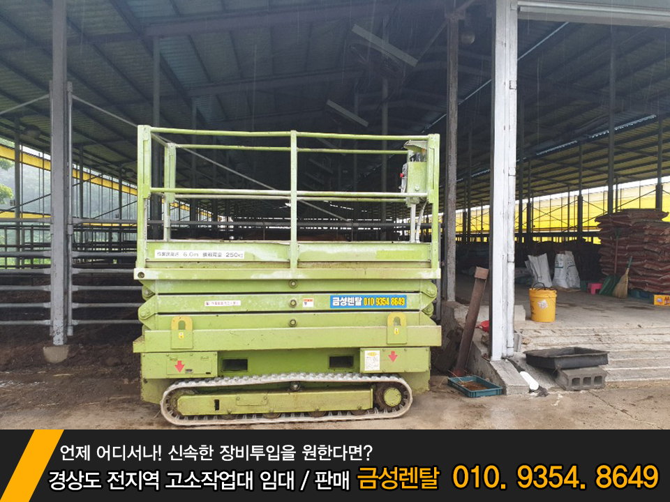 금성인력 이미지