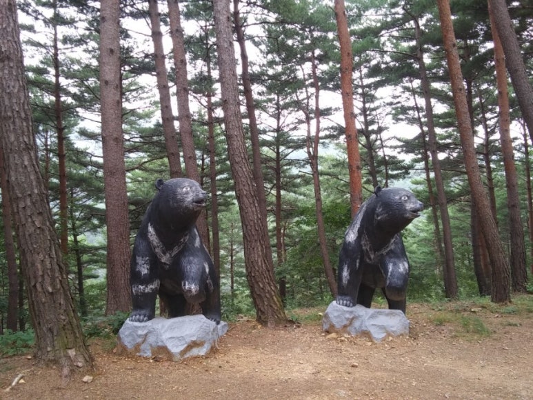 삼척동자 유아숲체험원 이미지