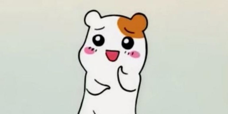 와구아구 이미지