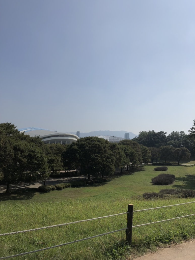 골목길조개찜구이 이미지