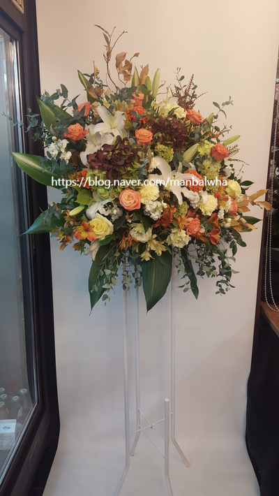 성신화원 이미지